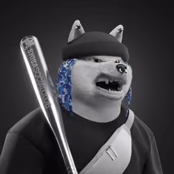 Shiba #6758