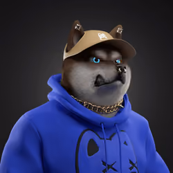 Shiba #1762