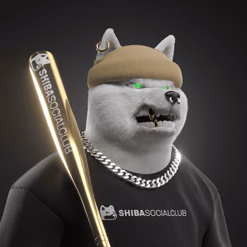 Shiba #7334