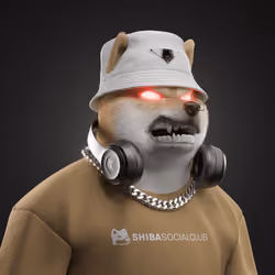 Shiba #561