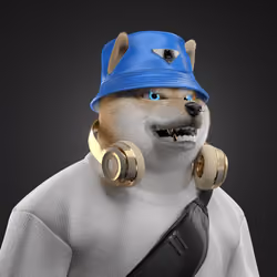 Shiba #5796