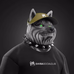 Shiba #5721