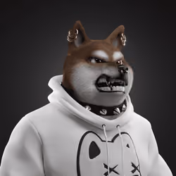 Shiba #1398