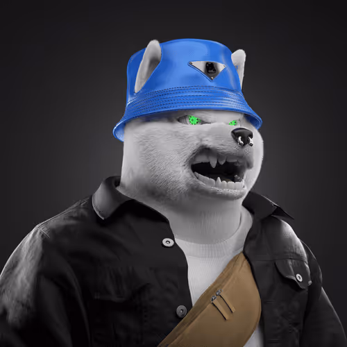 Shiba #23