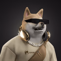 Shiba #842