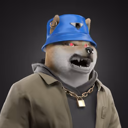 Shiba #4858
