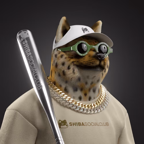 Shiba #6890