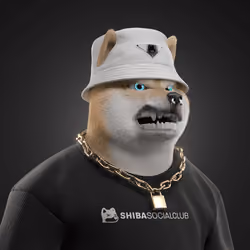 Shiba #4191