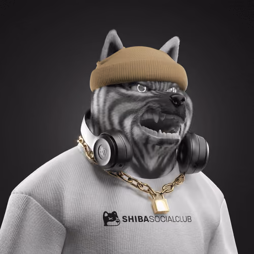 Shiba #2353