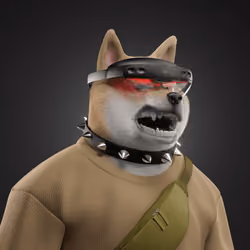 Shiba #6649