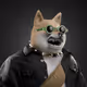 6078