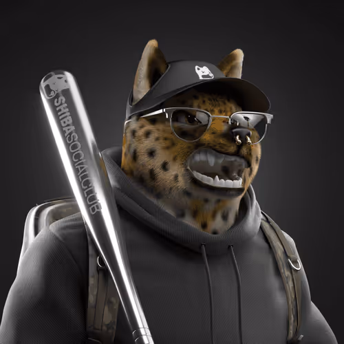 Shiba #2461