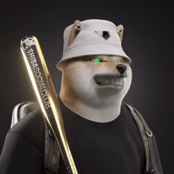Shiba #1549