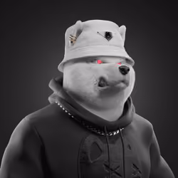 Shiba #4174