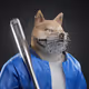 3672