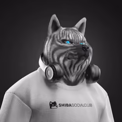 Shiba #1985