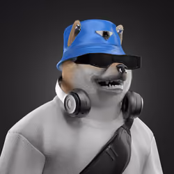 Shiba #4328