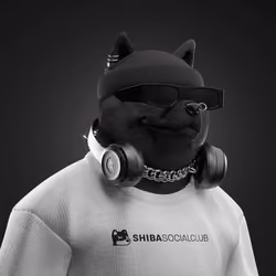 Shiba #961