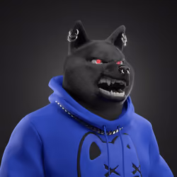 Shiba #7565