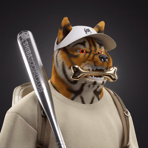 Shiba #6572