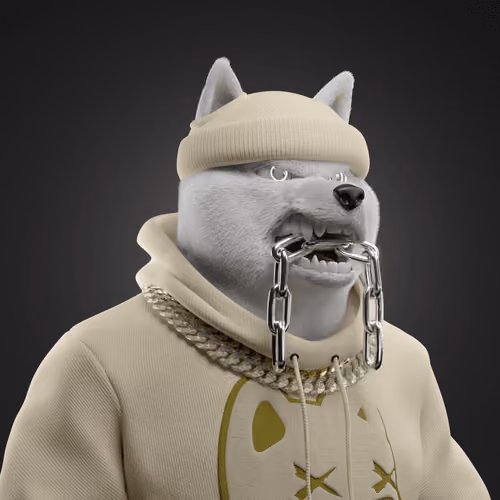 Shiba #5567