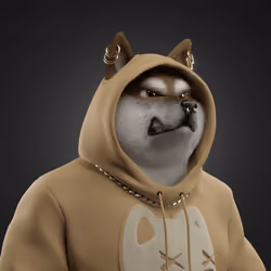 Shiba #3742