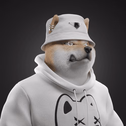 Shiba #6193