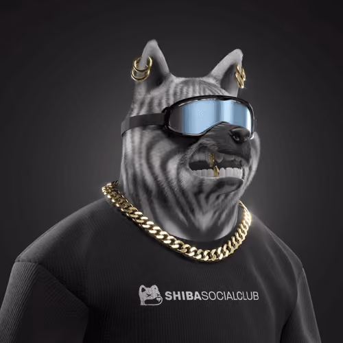Shiba #5119