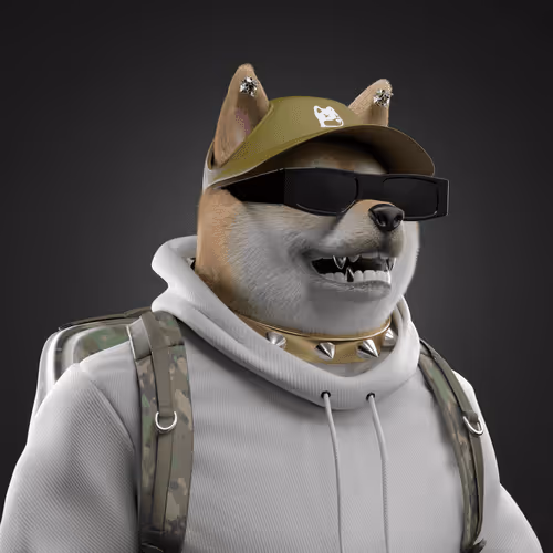 Shiba #3527