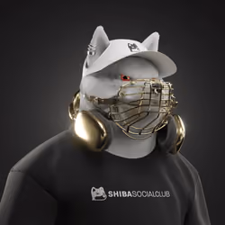 Shiba #4037