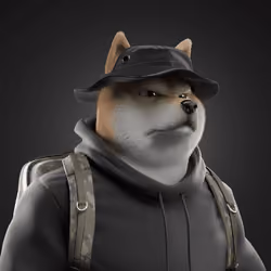 Shiba #3616