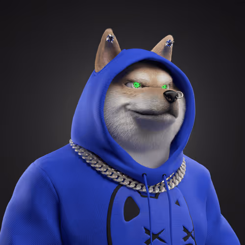 Shiba #2608