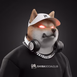 Shiba #535