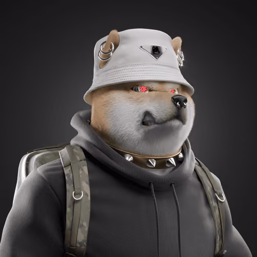 Shiba #3699