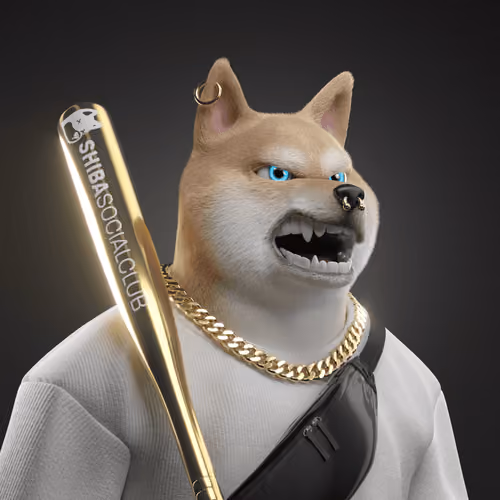 Shiba #3183