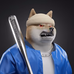 Shiba #6930