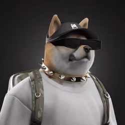 Shiba #852