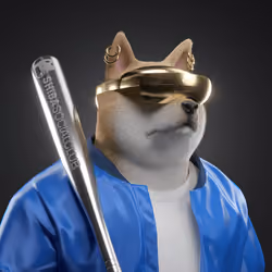 Shiba #5971