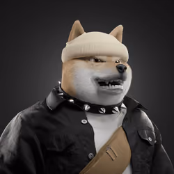 Shiba #3503