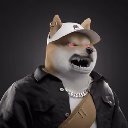 Shiba #5500