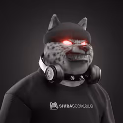 Shiba #5737