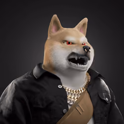 Shiba #128
