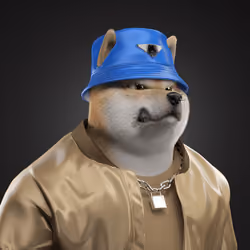 Shiba #2298