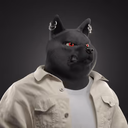 Shiba #6297