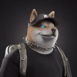 Shiba #3219
