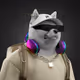 3648