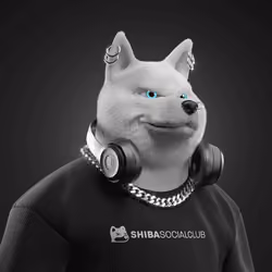 Shiba #4227