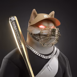Shiba #5755