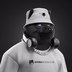 Shiba #58