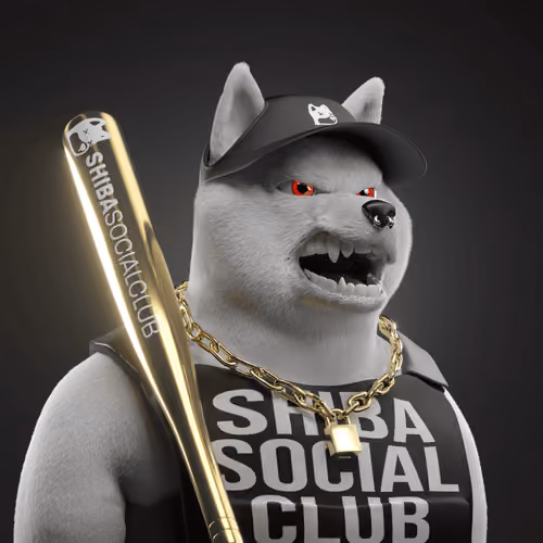 Shiba #6279